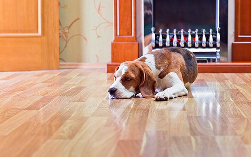 Floor Heating